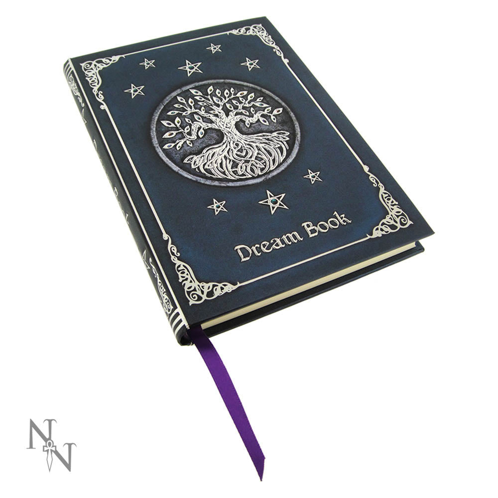 Nemesis Now Dream Book 17cm