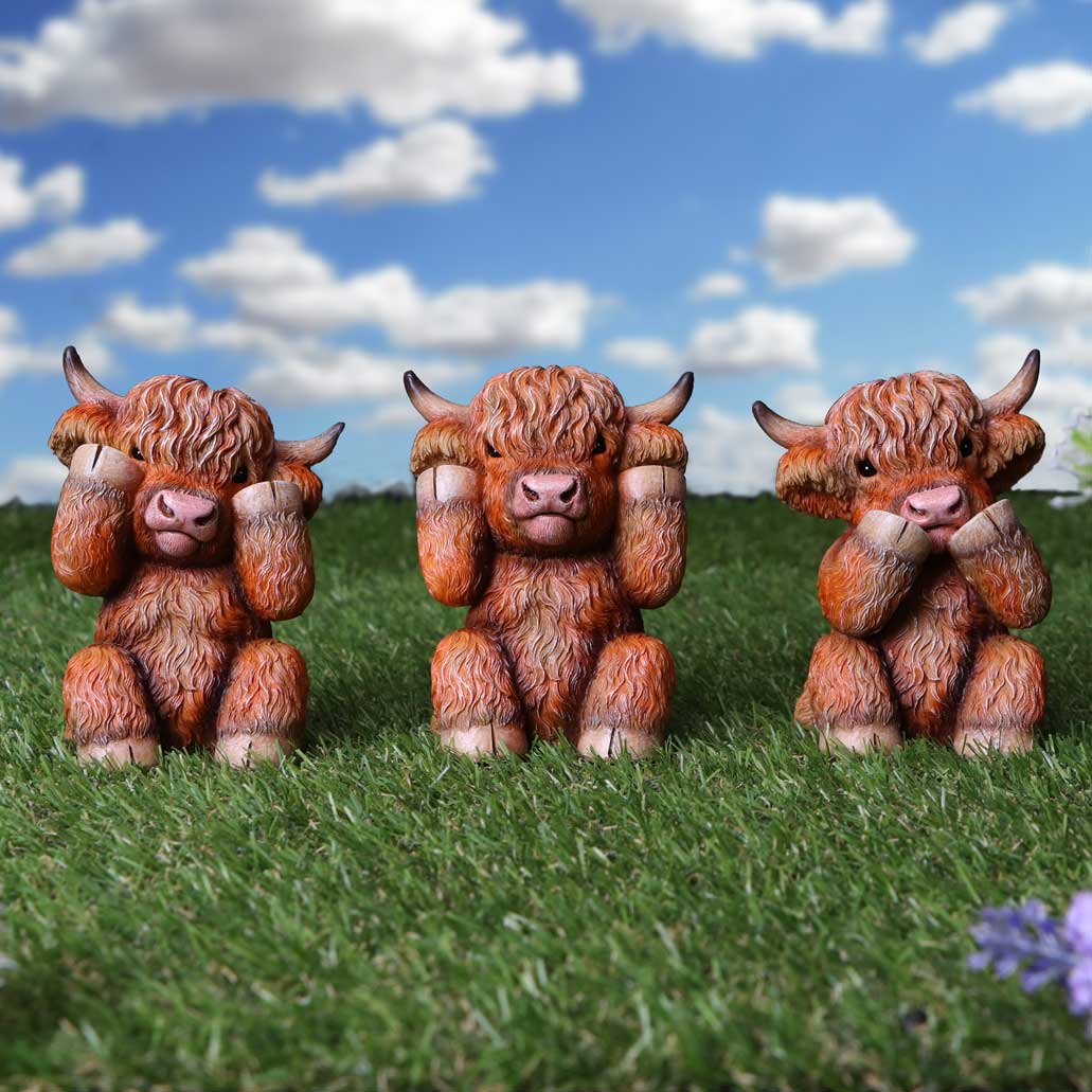 Nemesis Now Three Wise Highland Cows 9.6cm