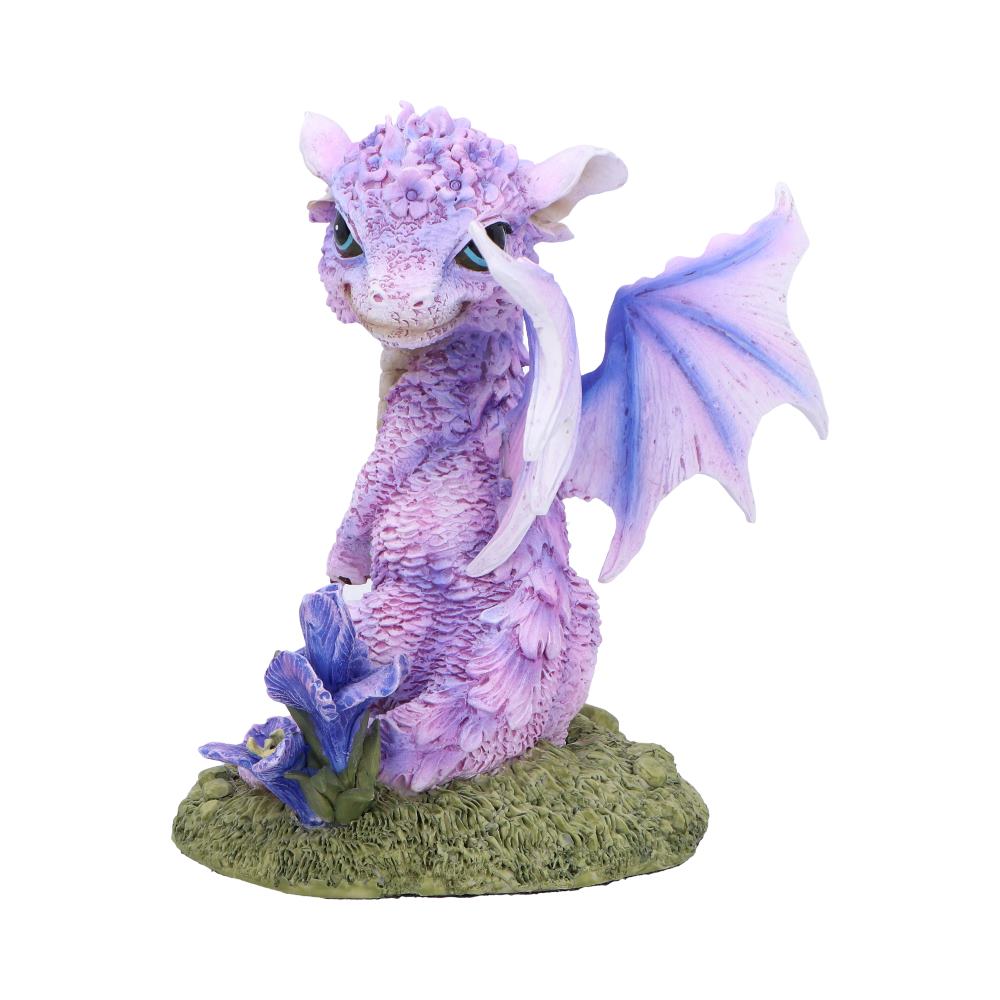 Nemesis Now Iris Flower Dragon 12cm
