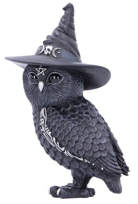 Nemesis Now Owlocen 13.5cm