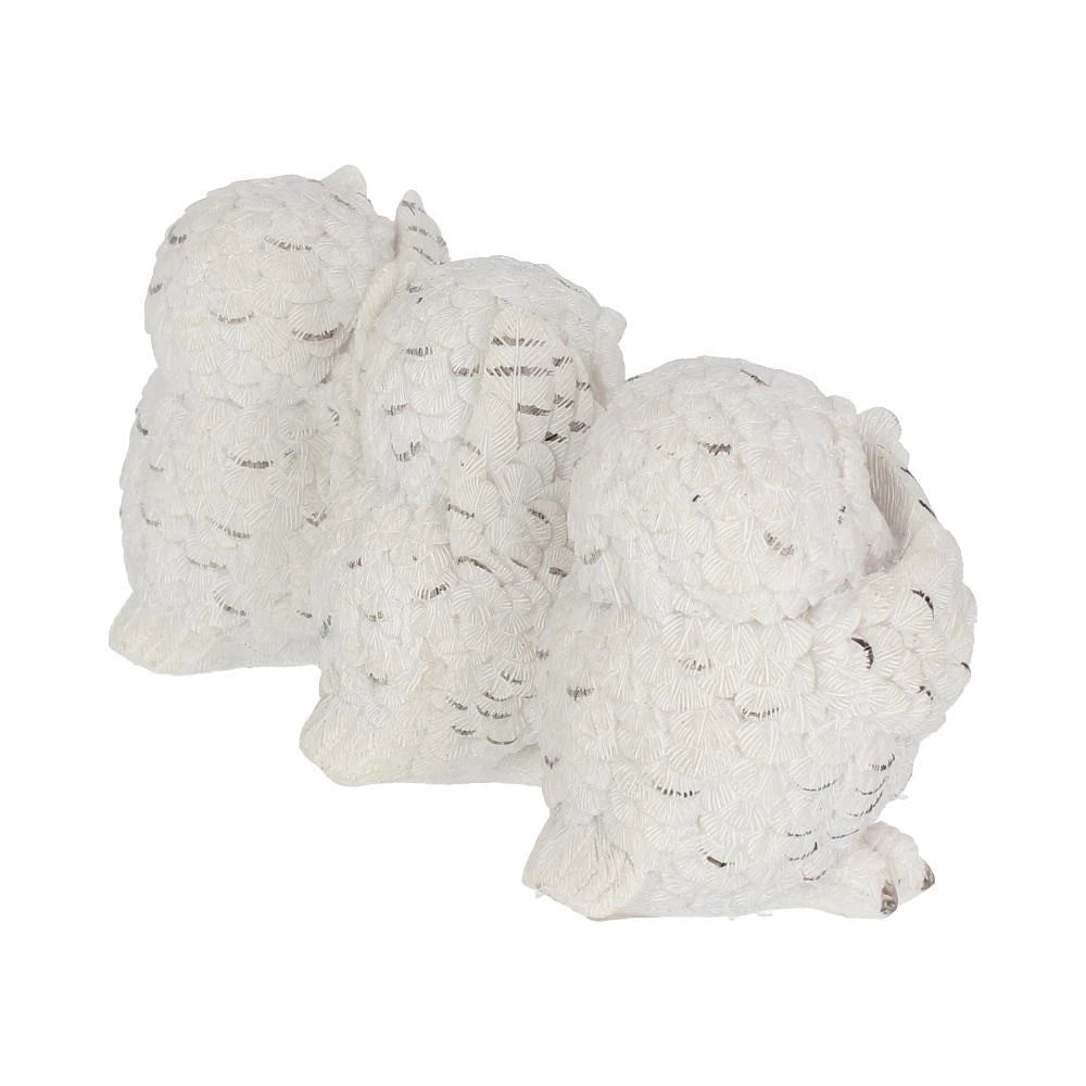 Nemesis Now Three Wise Owls 8cm