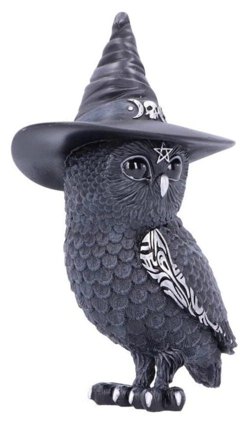 Nemesis Now Owlocen 13.5cm