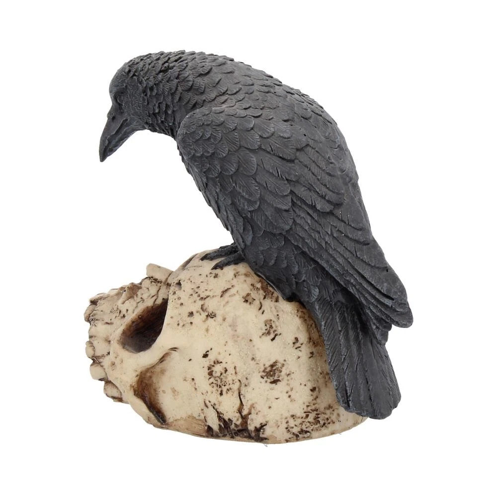 Nemesis Now Raven Remains Figurine Crow Skull Gothic Ornament 13cm