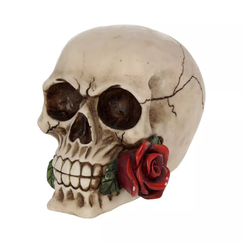 Nemesis Now Rose From the Dead Skull Ornament 15cm
