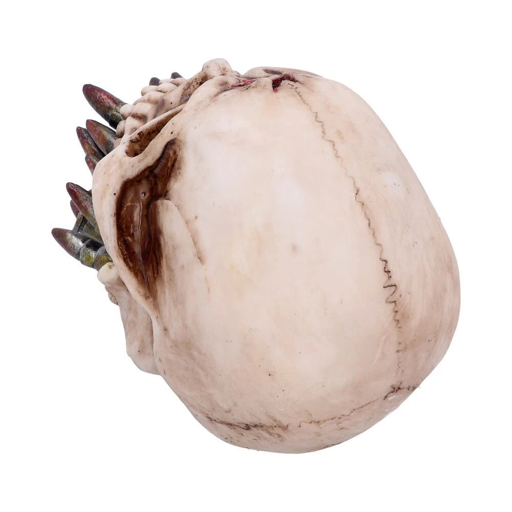 Nemesis Now Bite the Bullet 15cm