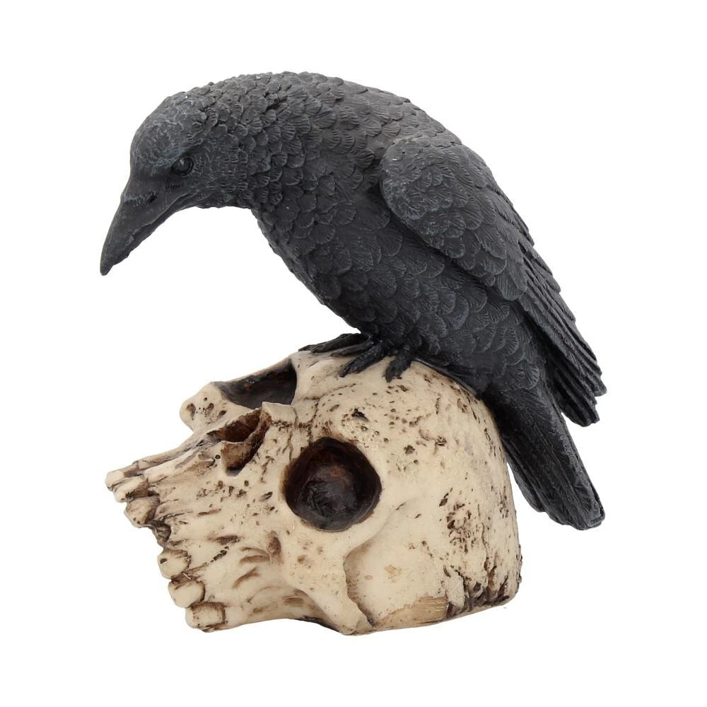 Nemesis Now Raven Remains Figurine Crow Skull Gothic Ornament 13cm