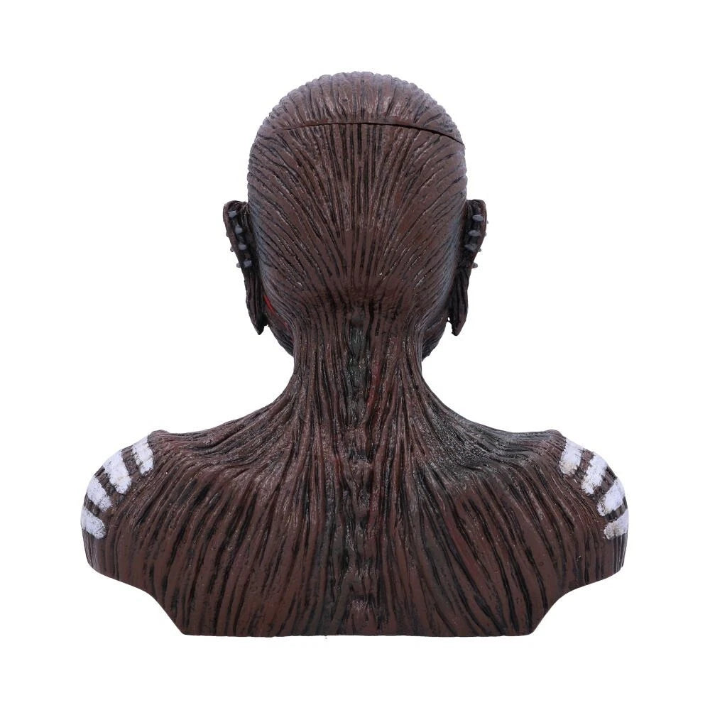 Nemesis Now Iron Maiden The Book of Souls Bust Box (Small)