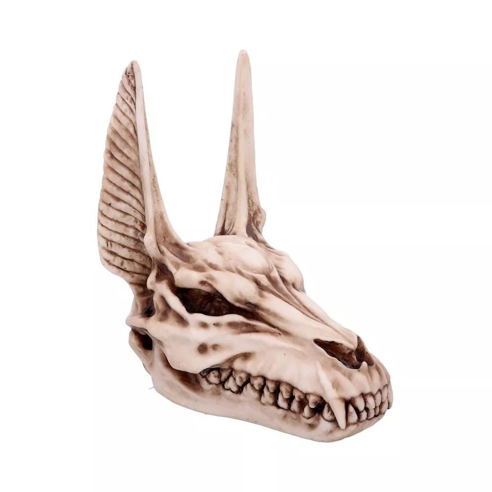 Nemesis Now Anubis Egyptian God of the Dead Skull Ornament 17cm