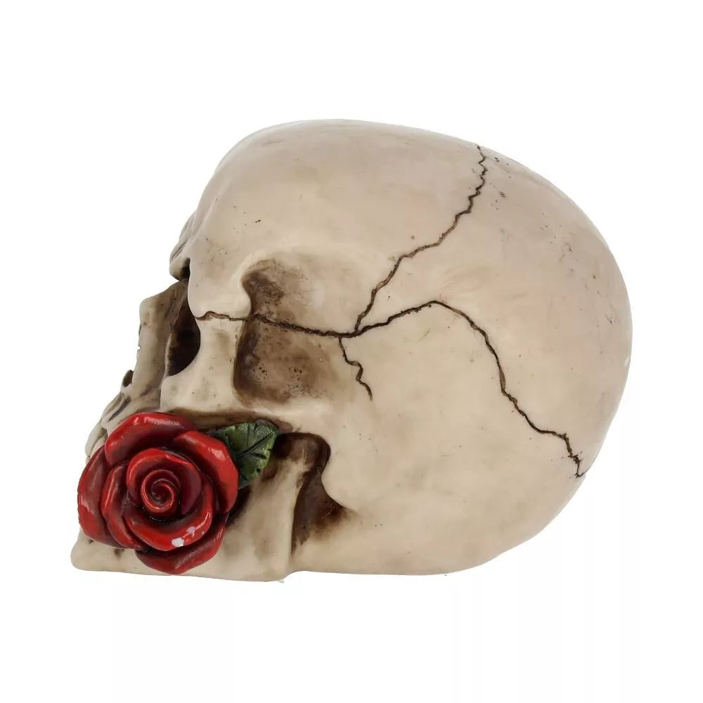 Nemesis Now Rose From the Dead Skull Ornament 15cm