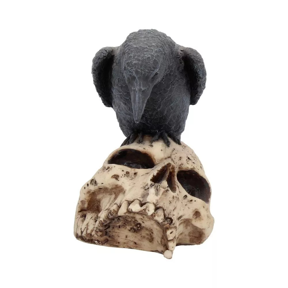 Nemesis Now Raven Remains Figurine Crow Skull Gothic Ornament 13cm