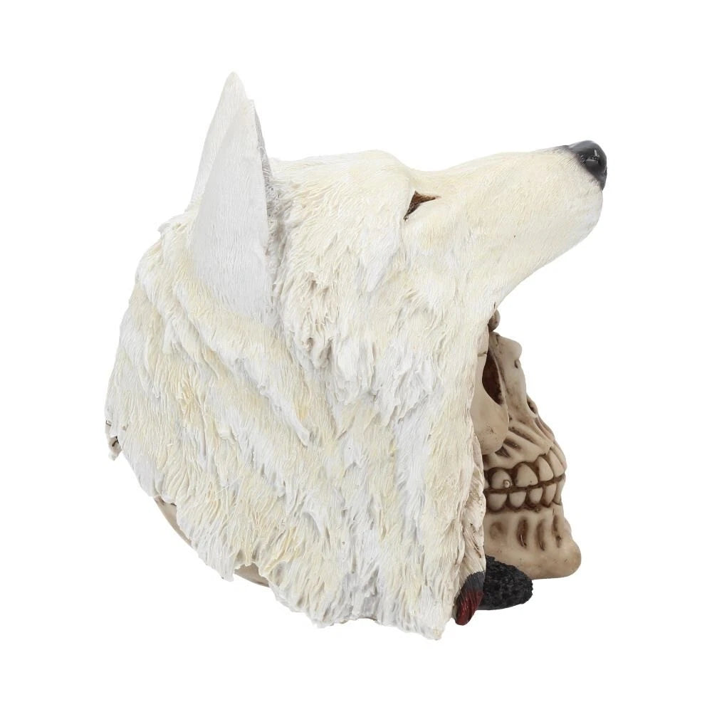 Nemesis Now Night Wolf Skull 15.6cm