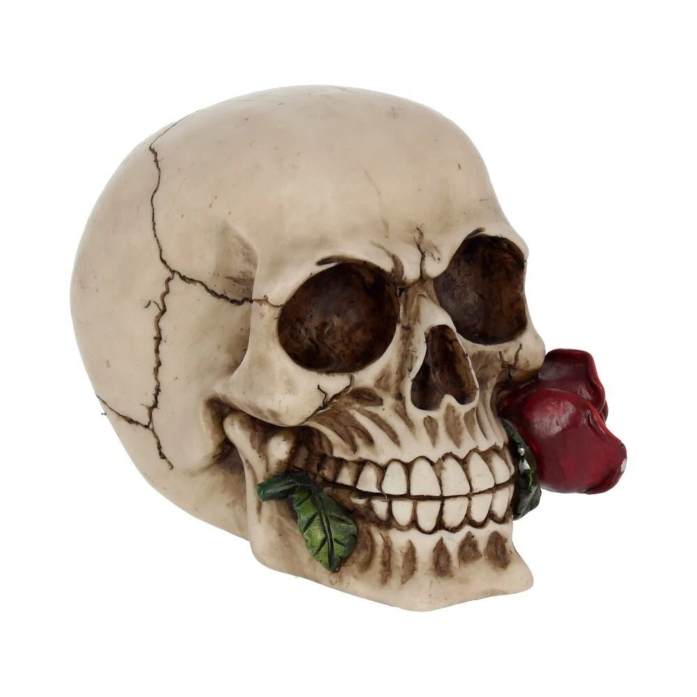 Nemesis Now Rose From the Dead Skull Ornament 15cm