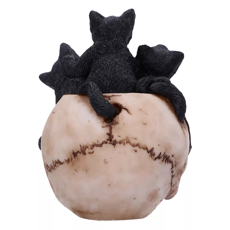 Nemesis Now Cranial Litter 14cm