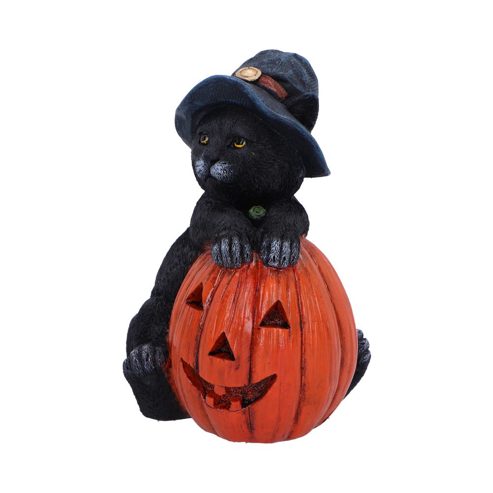 Nemesis Now Trick or Treat Cat with Pumpkin Figurine 13cm