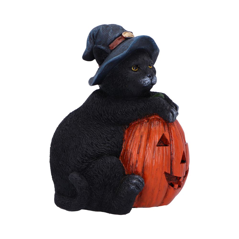 Nemesis Now Trick or Treat Cat with Pumpkin Figurine 13cm