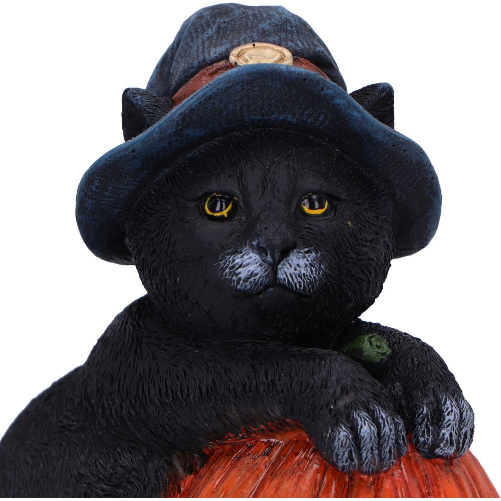 Nemesis Now Trick or Treat Cat with Pumpkin Figurine 13cm