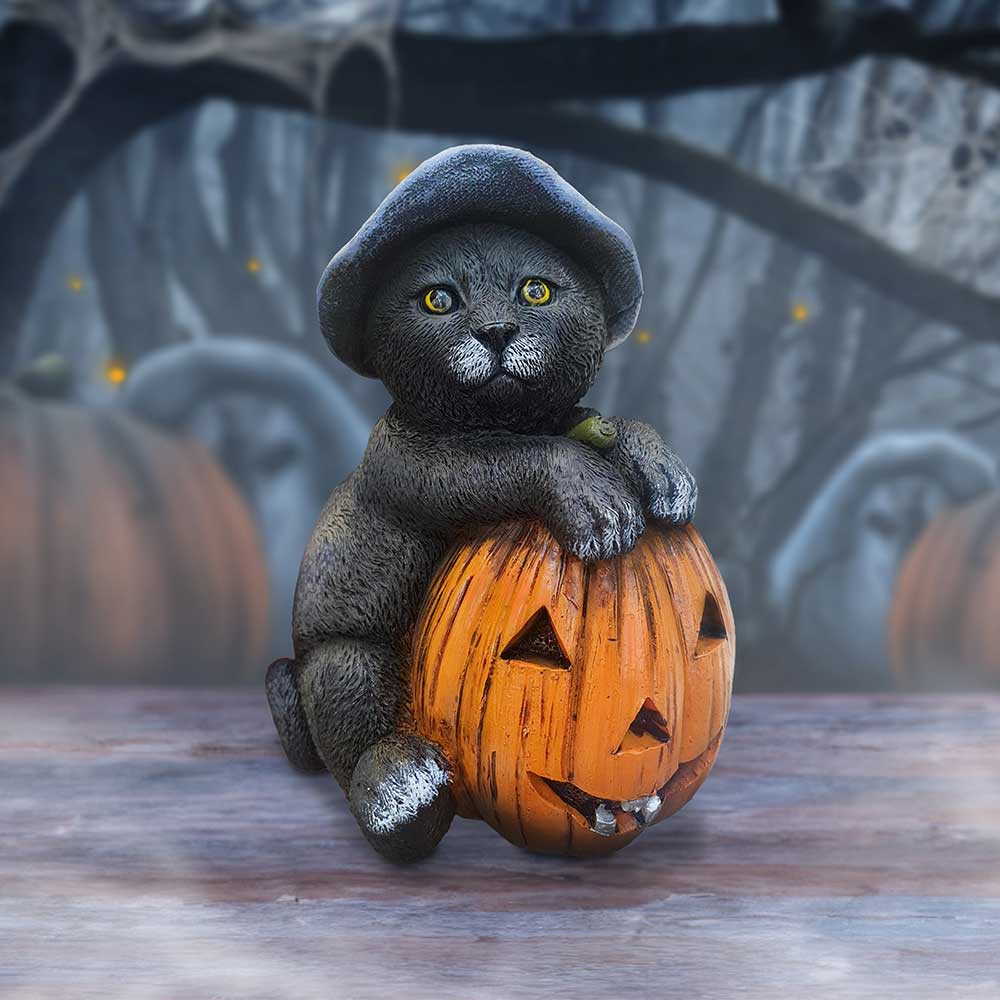Nemesis Now Trick or Treat Cat with Pumpkin Figurine 13cm