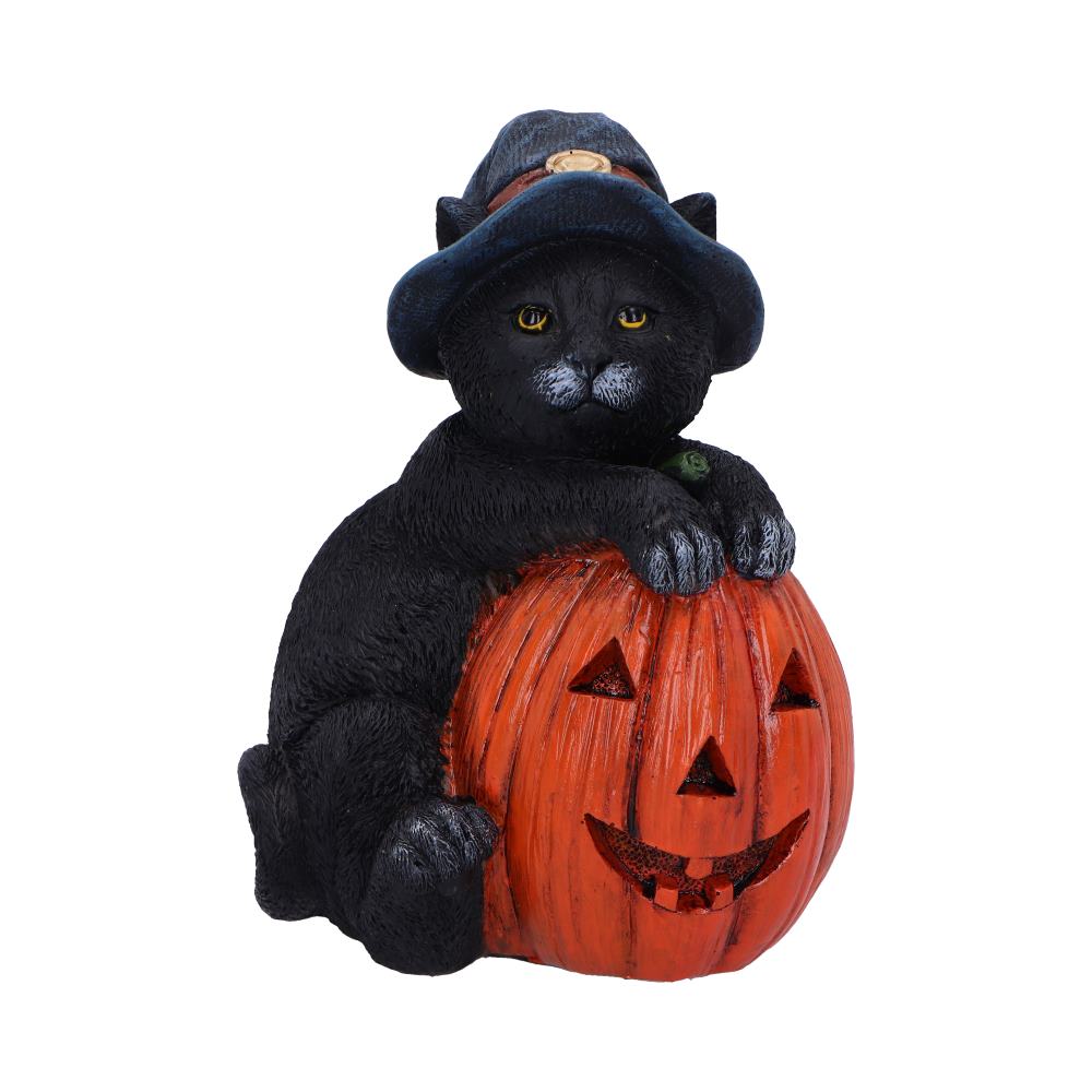 Nemesis Now Trick or Treat Cat with Pumpkin Figurine 13cm