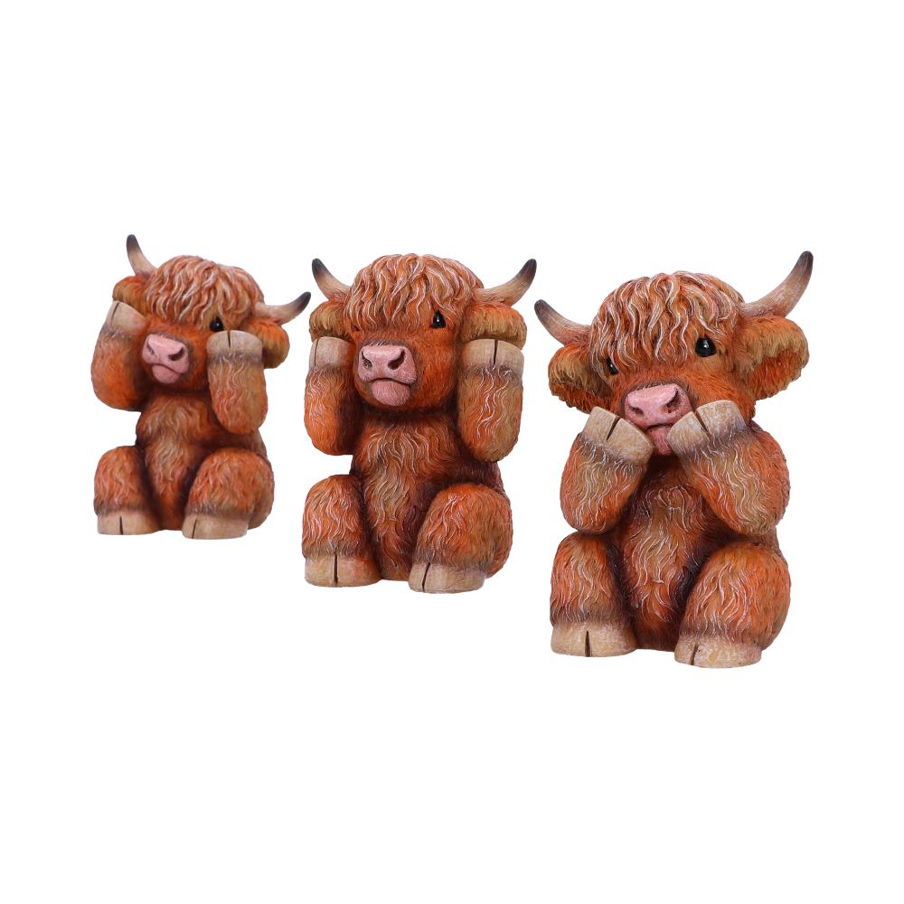 Nemesis Now Three Wise Highland Cows 9.6cm