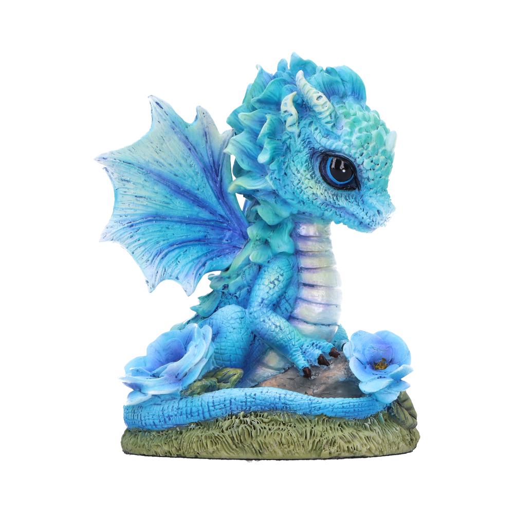 Nemesis Now Blue Poppy Flower Dragon 11cm