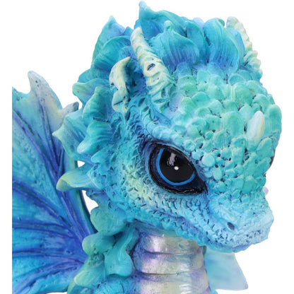 Nemesis Now Blue Poppy Flower Dragon 11cm