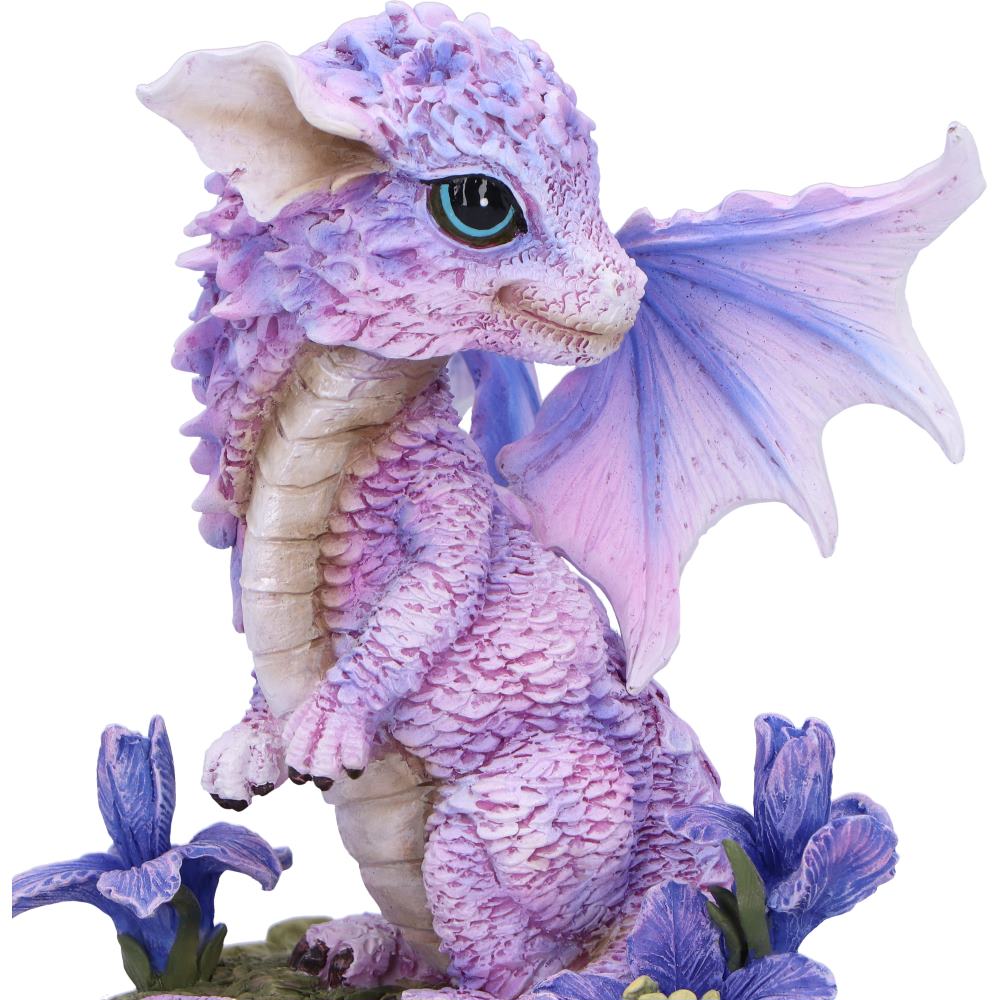 Nemesis Now Iris Flower Dragon 12cm