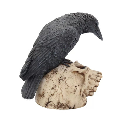 Nemesis Now Raven Remains Figurine Crow Skull Gothic Ornament 13cm