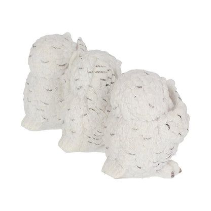 Nemesis Now Three Wise Owls 8cm