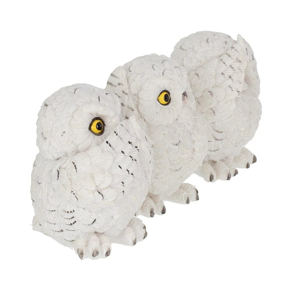 Nemesis Now Three Wise Owls 8cm