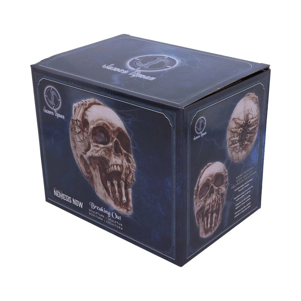 Nemesis Now Officially Licensed James Ryman Breaking Out Skull Skeleton Ornament 20cm