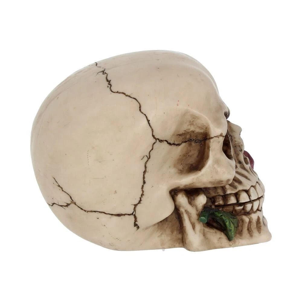 Nemesis Now Rose From the Dead Skull Ornament 15cm