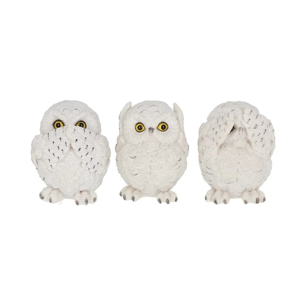 Nemesis Now Three Wise Owls 8cm