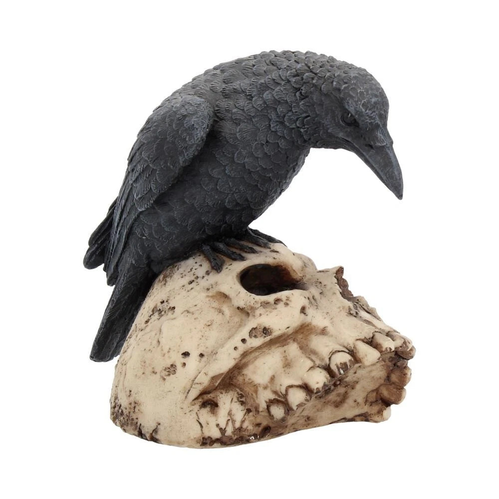 Nemesis Now Raven Remains Figurine Crow Skull Gothic Ornament 13cm