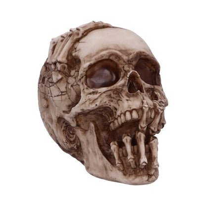 Nemesis Now Officially Licensed James Ryman Breaking Out Skull Skeleton Ornament 20cm