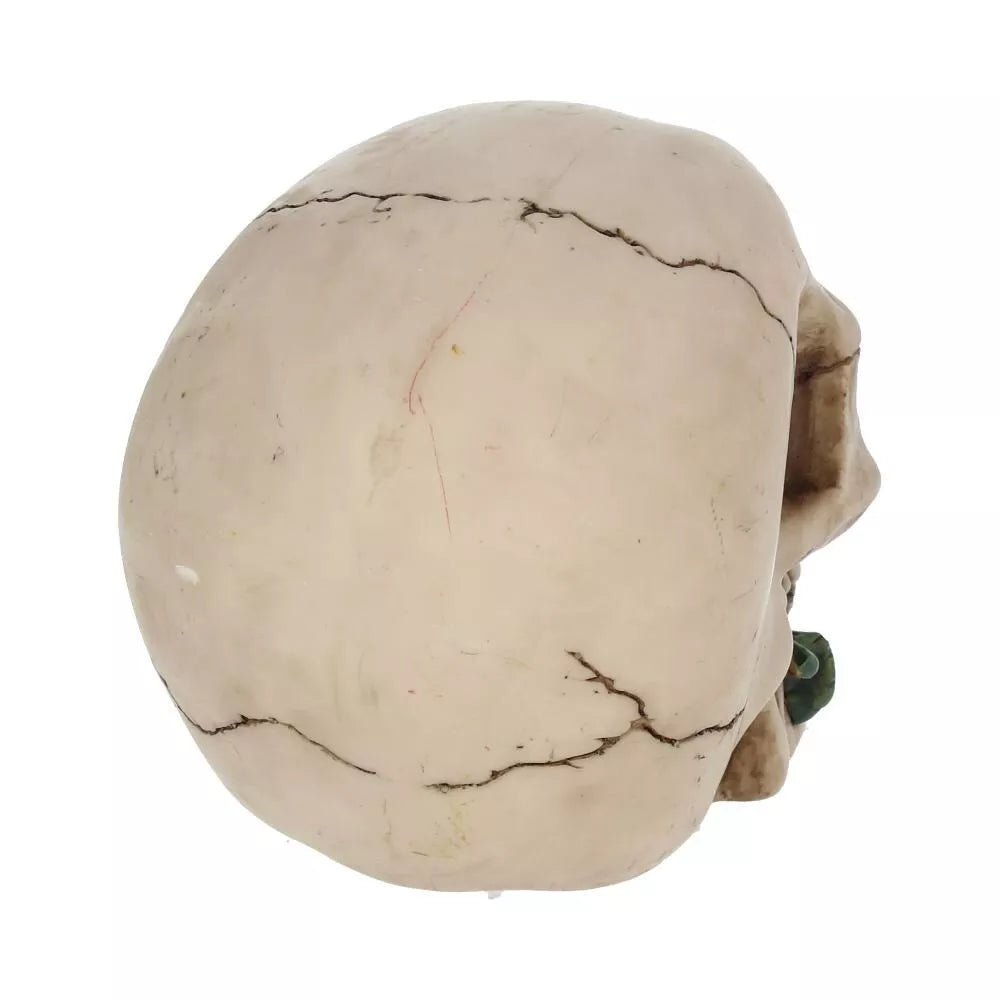 Nemesis Now Rose From the Dead Skull Ornament 15cm