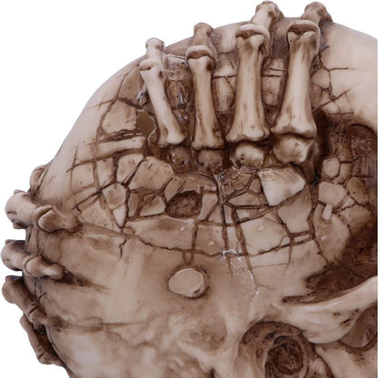 Nemesis Now Officially Licensed James Ryman Breaking Out Skull Skeleton Ornament 20cm