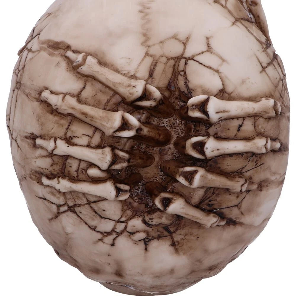 Nemesis Now Officially Licensed James Ryman Breaking Out Skull Skeleton Ornament 20cm