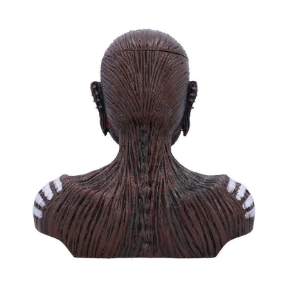 Nemesis Now Iron Maiden The Book of Souls Bust Box (Small)