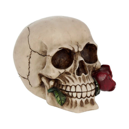 Nemesis Now Rose From the Dead Skull Ornament 15cm