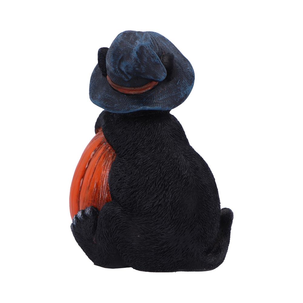 Nemesis Now Trick or Treat Cat with Pumpkin Figurine 13cm